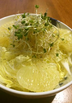 白菜と文旦のサラダ-レシピのメイン写真