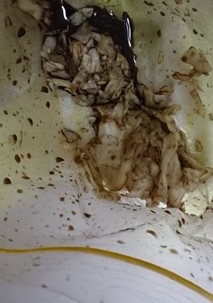 お手軽浅漬け風-レシピのメイン写真