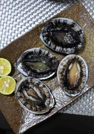 あわびの刺身うすうす造り-レシピのメイン写真