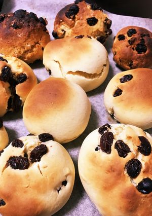 ただのレーズンパン-レシピのメイン写真