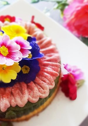 お花で華やか✿３色チーズケーキ✿-レシピのメイン写真