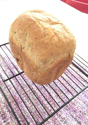 乳・卵なし!HBで作るレーズンパン♡-レシピのメイン写真