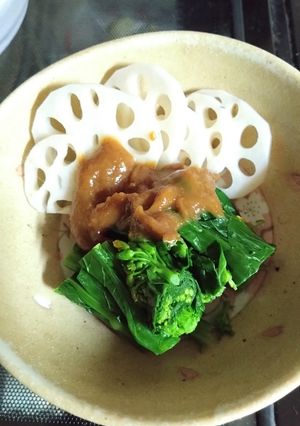 菜の花と蓮根の辛子酢味噌和え-レシピのメイン写真
