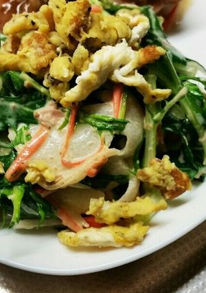 水菜のサラダ-レシピのメイン写真