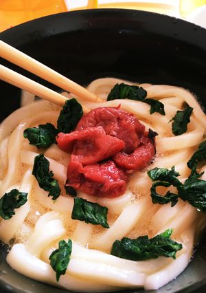 我が家の丸亀風 釜玉うどん-レシピのメイン写真