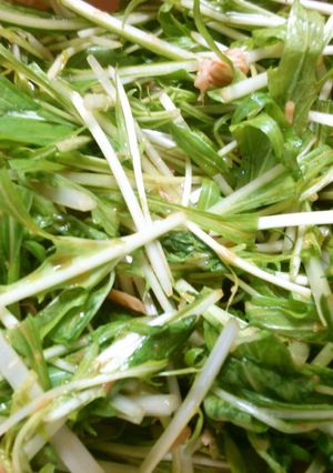 簡単！朝食にも♪水菜とツナのワサビ和え！-レシピのメイン写真
