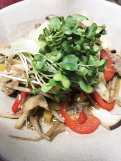 ウドの皮で☆簡単メイン料理.。.:*☆-レシピのメイン写真