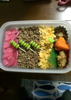 桜漬けで春の３色ご飯★部活★彩り行楽弁当-レシピのメイン写真
