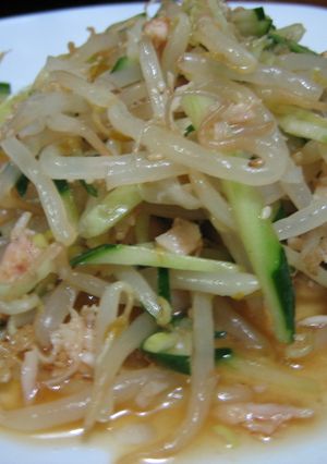 もやしの中華サラダ-レシピのメイン写真