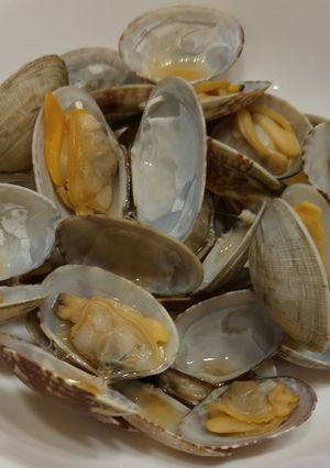 アサリの酒蒸し-レシピのメイン写真
