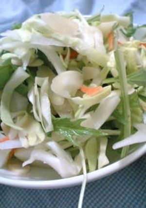 サラダ＊いろいろ野菜たまねぎドレッシング-レシピのメイン写真
