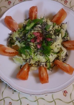 キャベツときゅうりの塩昆布あえ-レシピのメイン写真