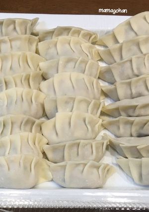 わが家の1人10個はいける餃子-レシピのメイン写真
