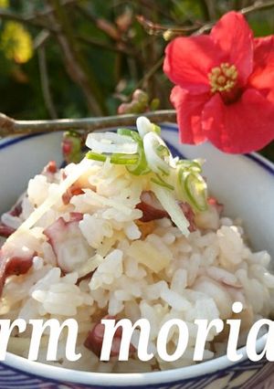 ほんのり春色♪タコめしごはん-レシピのメイン写真