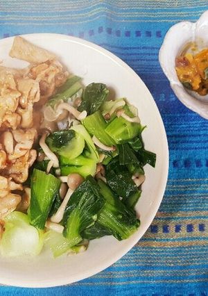 ピリ辛豚肉とチンゲン菜の丼ぶり-レシピのメイン写真