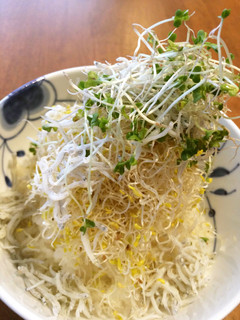 快腸!無塩!スプラウトのしらすおろし丼-レシピのメイン写真
