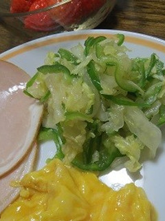 白菜サラダ-レシピのメイン写真