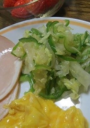 白菜サラダ-レシピのメイン写真