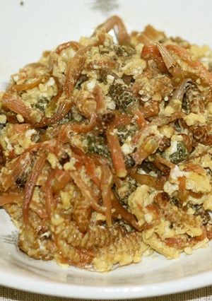 土筆を摘んで春の味わう！-レシピのメイン写真