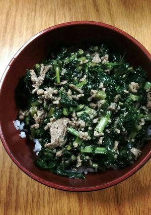 大根の葉丼-レシピのメイン写真