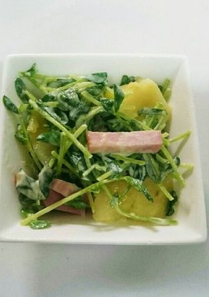 豆苗とじゃがいもマヨサラダ-レシピのメイン写真