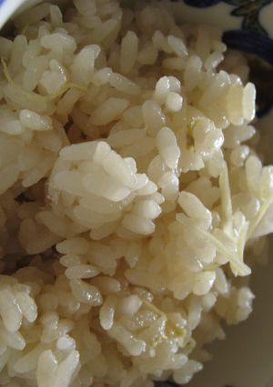 しょうがご飯-レシピのメイン写真