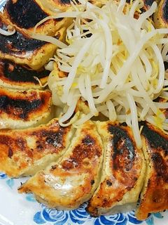 新玉ねぎと春キャベツの餃子-レシピのメイン写真