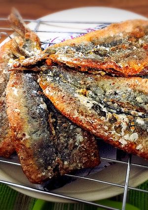 ご飯に合う！骨まで美味しいイワシの唐揚げ-レシピのメイン写真