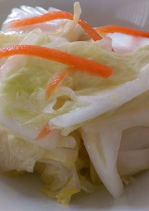 白菜の減塩浅漬け-レシピのメイン写真