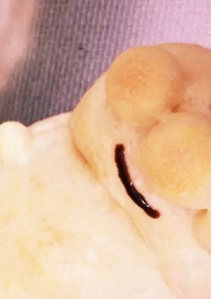 イモムシアンパンマン覚え書き用-レシピのメイン写真