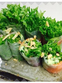 野菜たっぷり☆ヘルシー生春巻き-レシピのメイン写真