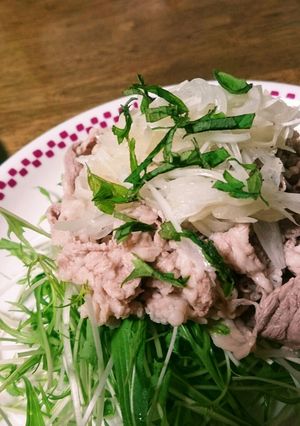さっぱり★牛肉のおかずサラダ-レシピのメイン写真