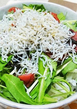 水菜と梅干しの5分で簡単しらす丼-レシピのメイン写真