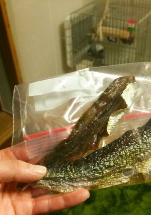 身欠き鰊-レシピのメイン写真