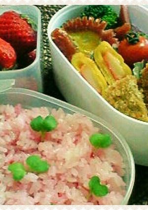 春の二葉弁当☆-レシピのメイン写真