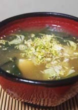 お味噌汁：ふきのとう・ほうれん草・豆腐-レシピのメイン写真