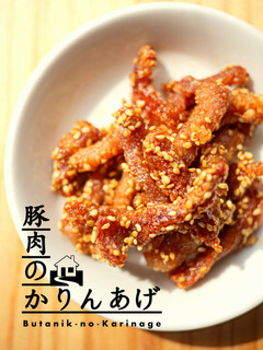 豚肉のかりんあげ-レシピのメイン写真