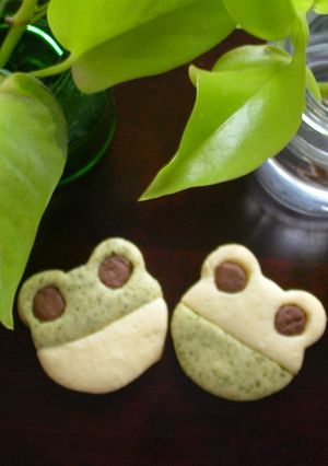 クマ型でカエルちゃんクッキー♪-レシピのメイン写真