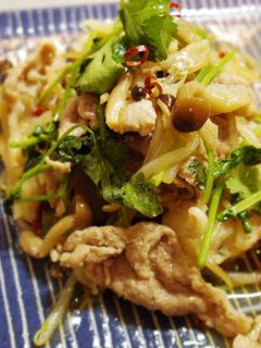 豚肉とパクチーの炒め物-レシピのメイン写真
