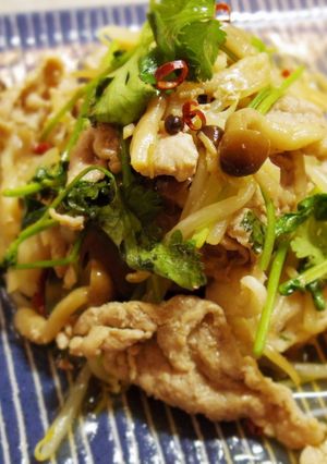 豚肉とパクチーの炒め物-レシピのメイン写真
