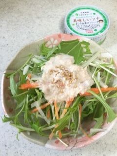 簡単♪水菜のシャキシャキサラダ♪-レシピのメイン写真