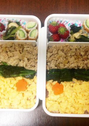 簡単可愛い!手作りそぼろ弁当♪-レシピのメイン写真
