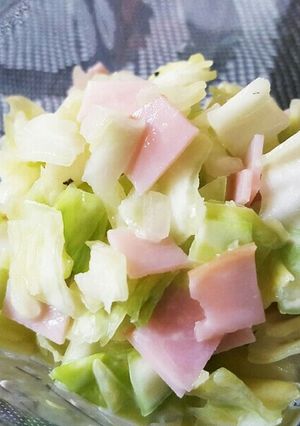春キャベツと新玉ねぎの簡単コールスロー-レシピのメイン写真