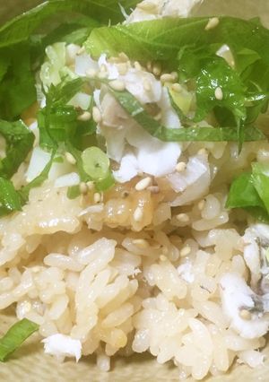 やまびこ米こしひかりで簡単！料亭風な鯛飯-レシピのメイン写真
