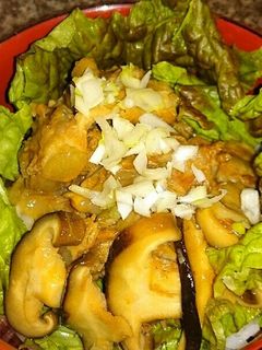 トロトロ豚軟骨の甘辛煮丼❗-レシピのメイン写真