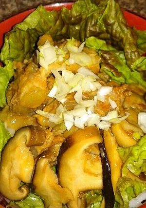 トロトロ豚軟骨の甘辛煮丼❗-レシピのメイン写真