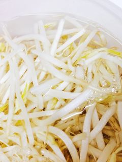 もやし★長持ち保存方法-レシピのメイン写真