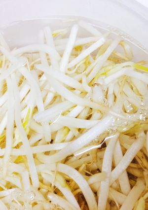 もやし★長持ち保存方法-レシピのメイン写真