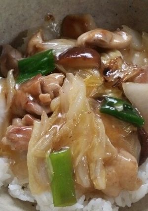 旨い！鶏肉と白菜のゴマラー油炒め-レシピのメイン写真