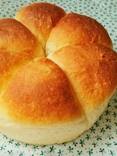 初心者でも出来た!フワフワちぎりパン-レシピのメイン写真